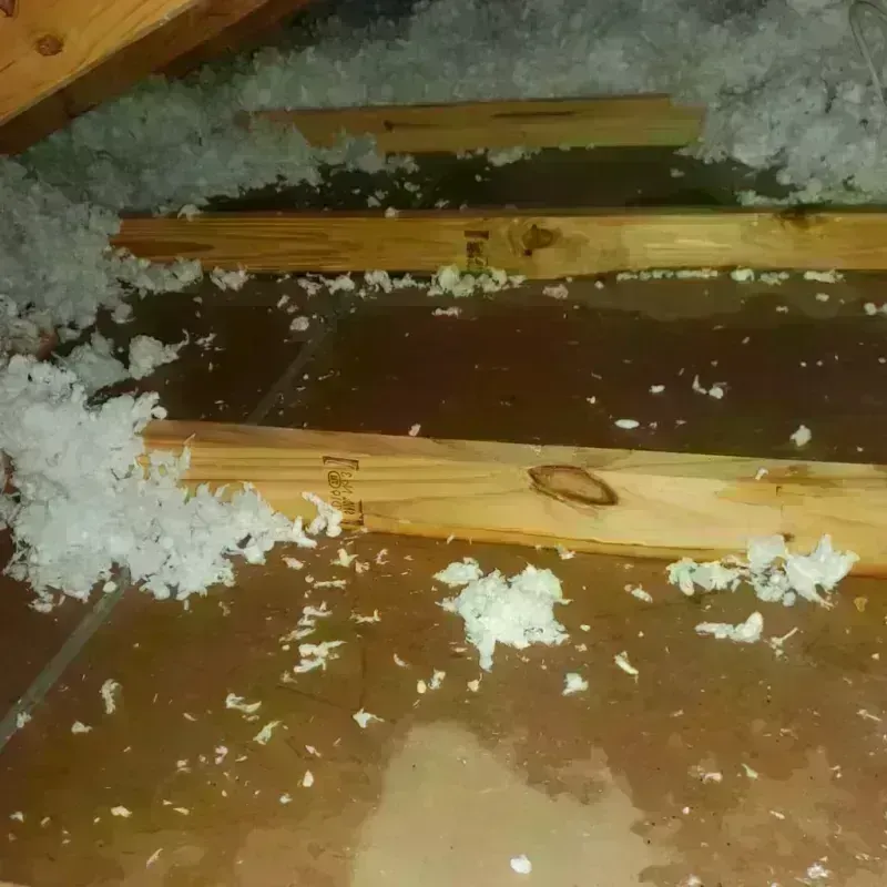 Attic Water Damage in Ticonderoga, NY