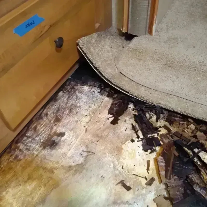 Best Wood Floor Water Damage Service in Ticonderoga, NY